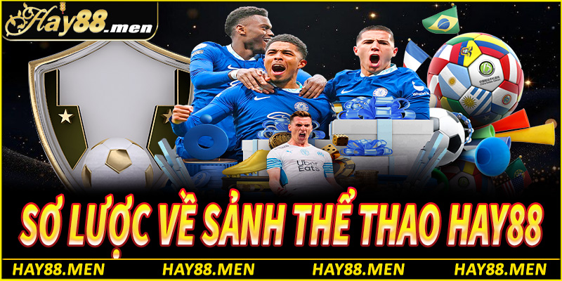 Sơ lược về sảnh thể thao Hay88