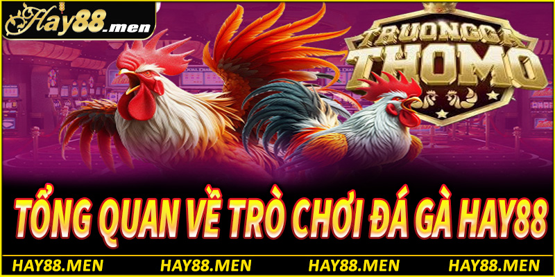 Tổng quan về trò chơi đá gà trực tuyến tại Hay88